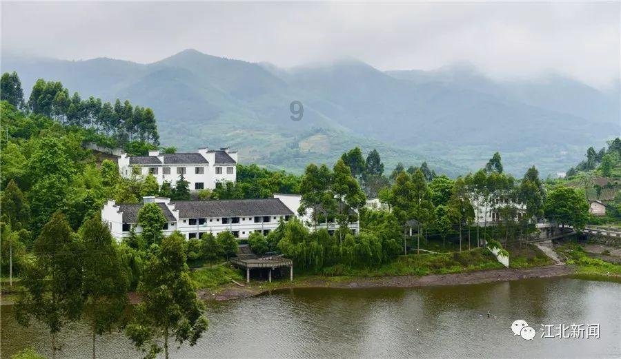 茜杰和莉斯大改造