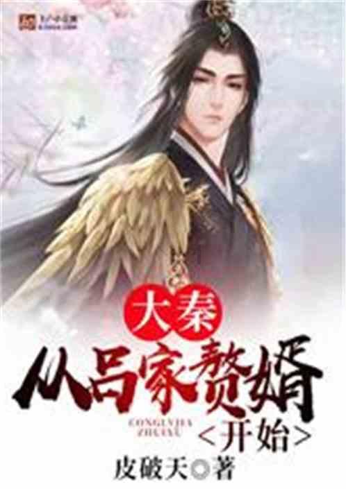 生化危机：浣熊市行动