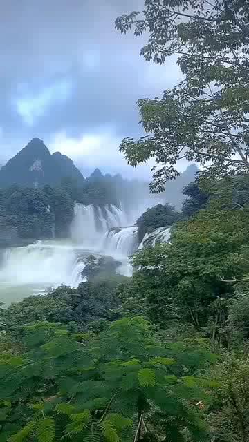 女子当着两个孩子的面,偷摘景区装饰灯笼