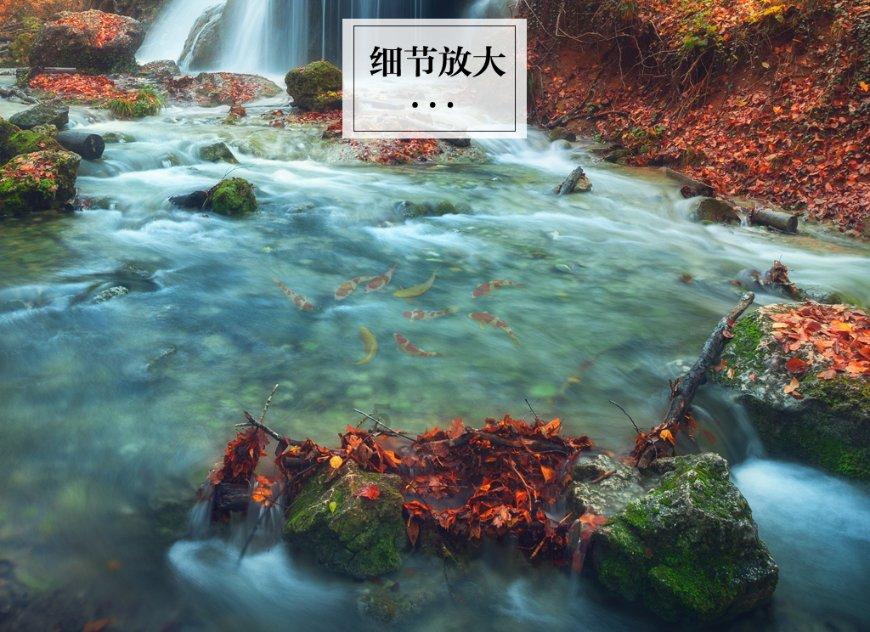 他是“知青诗魂”，疯癫20年，在精神病院和海子同时获诗歌最高奖